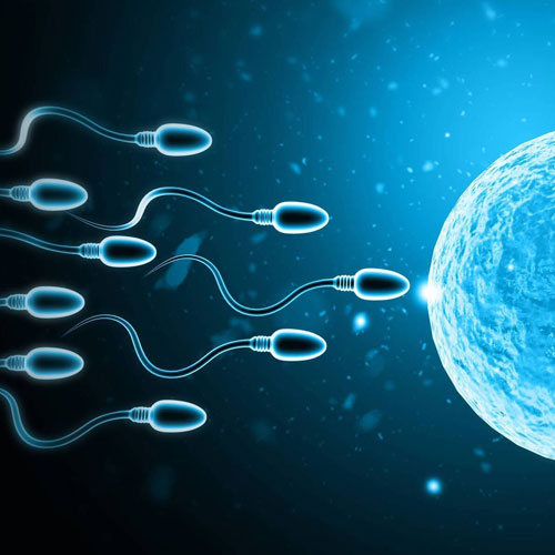 Graphic of sperm cells swimming towards a glowing egg, symbolizing fertility and reproduction in a vibrant blue background.