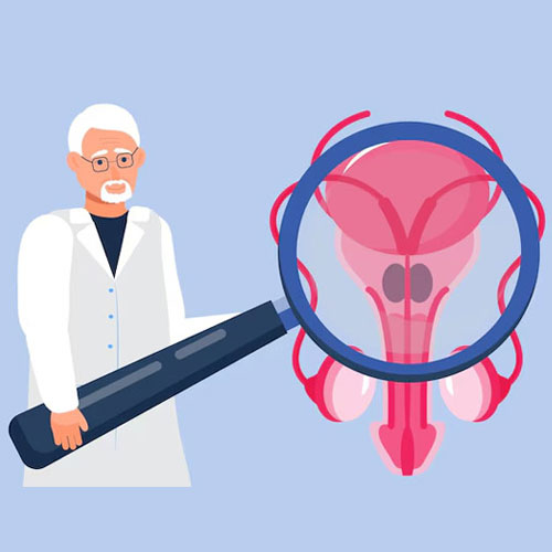 A person in a lab coat holds a large magnifying glass over a detailed illustration of the female reproductive system.