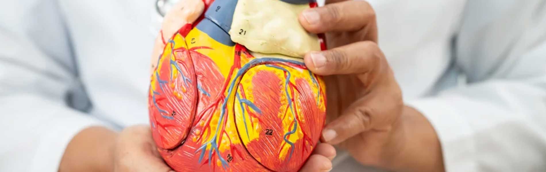 Best Cardiology Hospital in Mira Bhayandar