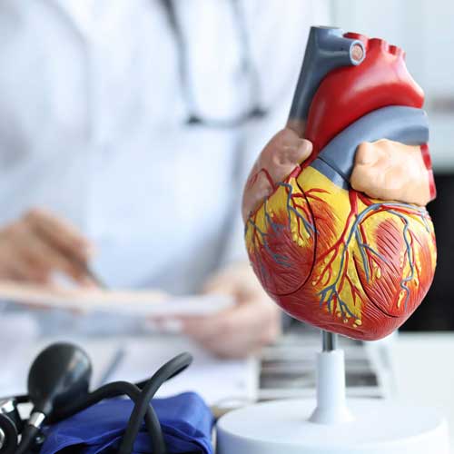 Cardiac Services