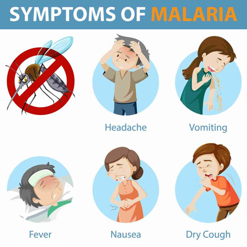 World Malaria Day