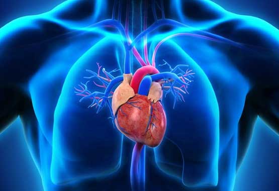 Minaai Hospital-Cardiology