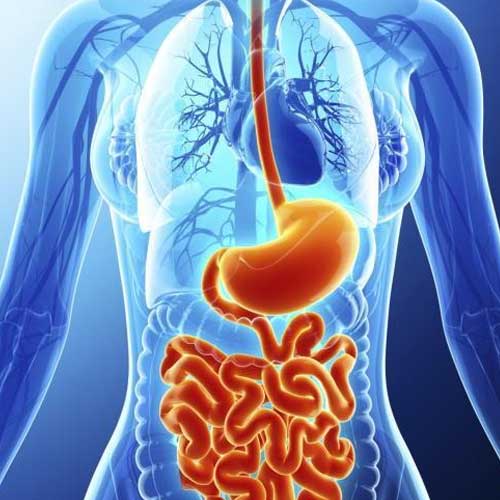 Illustration of laparoscopic sleeve gastrectomy, showing a before-and-after comparison of the stomach and the removed portion.