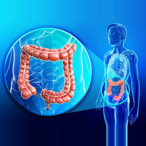 A man holds his abdomen, with highlighted kidneys, ureters, and bladder, symbolizing the urinary system.