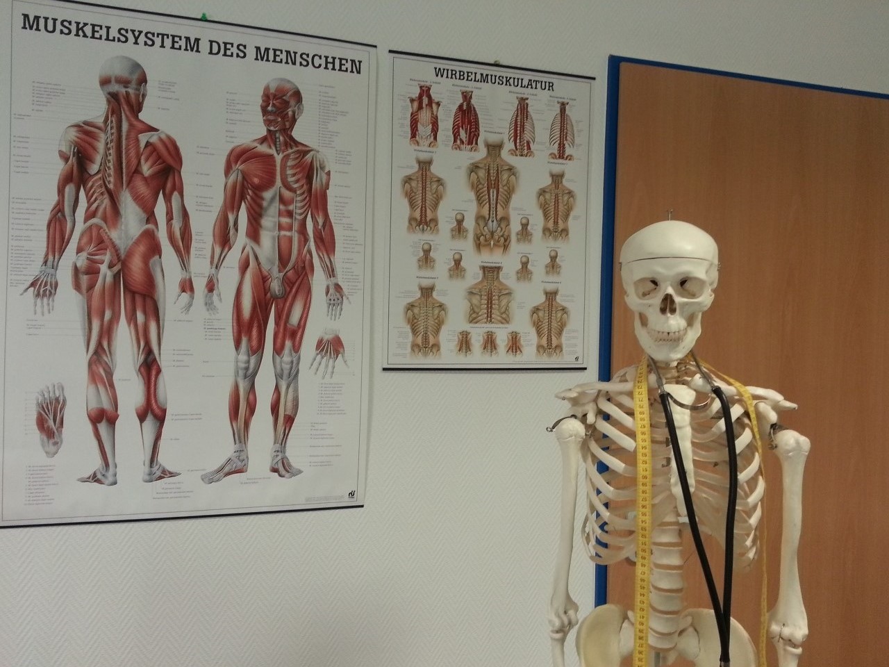 Orthopedics