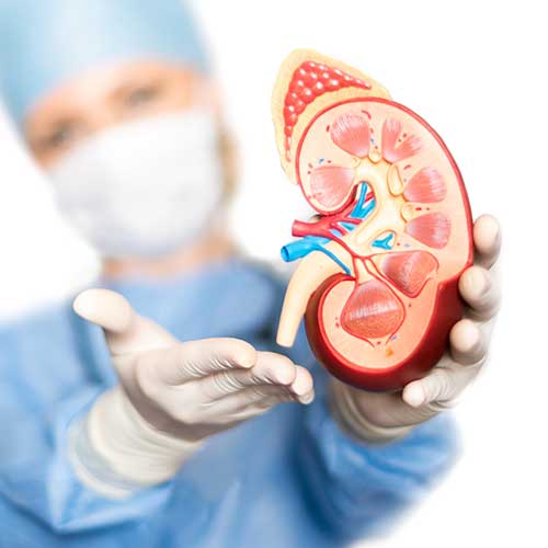 Illustration of a laparoscopic surgical procedure showing instruments like the laparoscope and uterine manipulator inside the uterus.