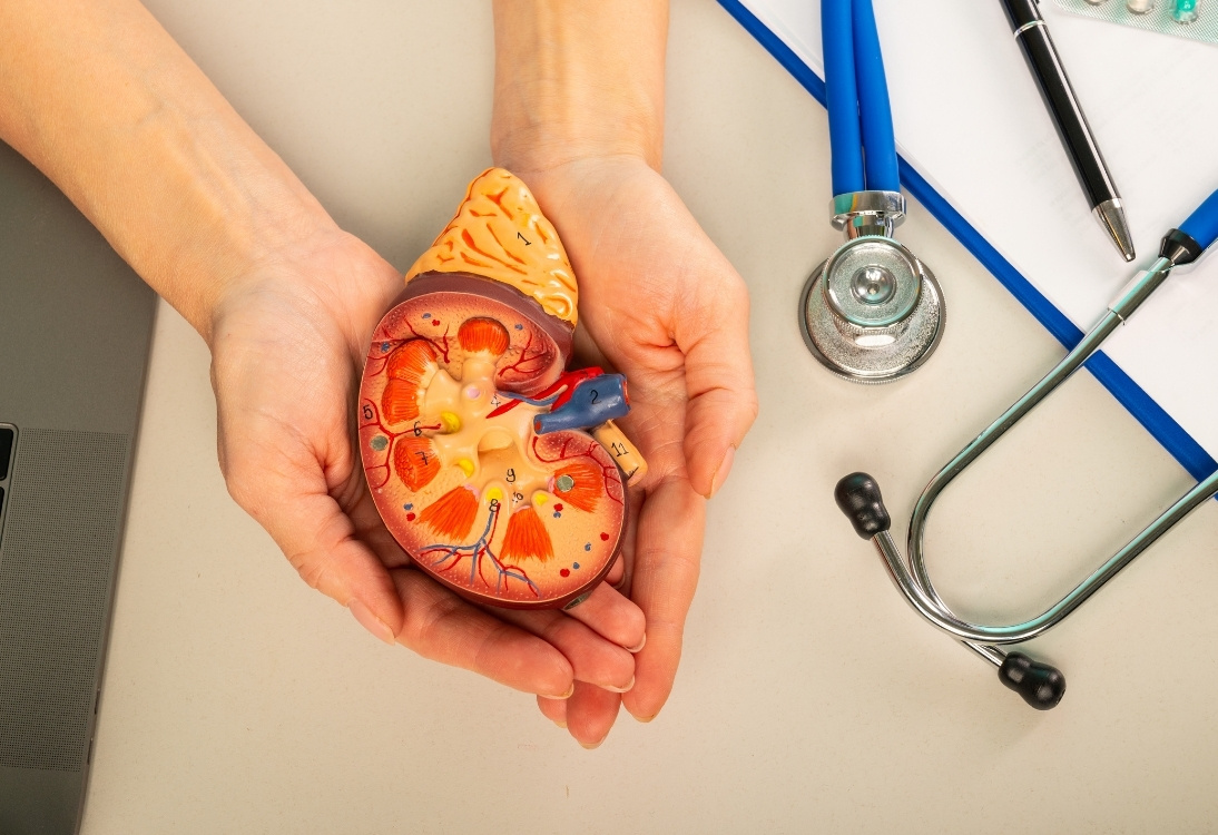 Urology department available in minaai multispeciality hospital